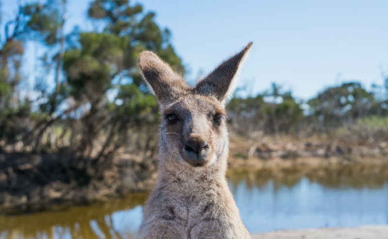 Zona Waktu Di Australia Yang Perlu Kamu Tahu