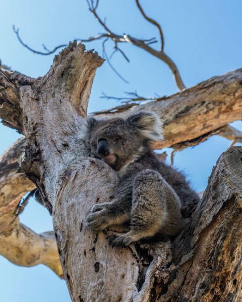 Zona Waktu Di Australia Yang Perlu Kamu Tahu